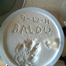 Blanding af racer Balou/Nanoq