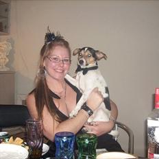 Dansk svensk gaardhund Bandit