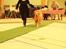 Golden retriever Leongolden Cha Cha Cha - Jule skue 20.11.11