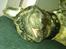 Blanding af racer Tiger - Fransk bulldog / mops
