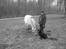 Blanding af racer Olivia - Et gammelt billede af min pony, Bjarke Sax og min elskede Olivia