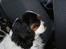 Cavalier king charles spaniel Zelma *Et&Alt!*;* - Du er min engel*;
Foto: Mig