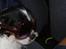 Cavalier king charles spaniel Zelma *Et&Alt!*;* - Du er nuttet:-*
Foto: Mig