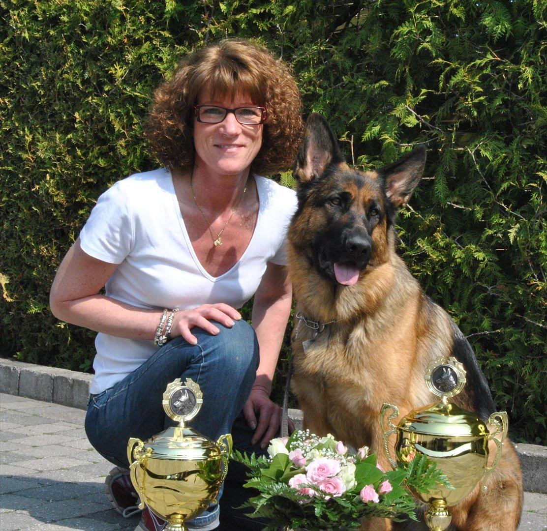 Schæferhund Akacias Mocca - 2010. Nr. 1 som Årets hele hund og nr 3 som Årets brugshund, begge under 18 mdr. UHP, FP, IPO1, AK. billede 1