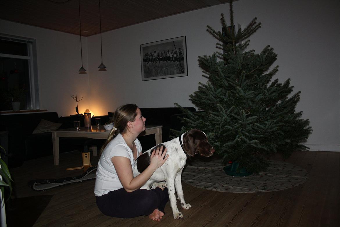 Blanding af racer Sally billede 13