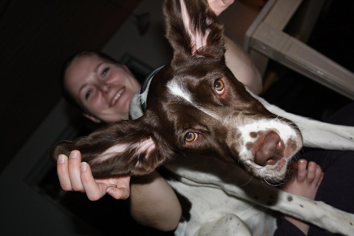 Blanding af racer Sally billede 14