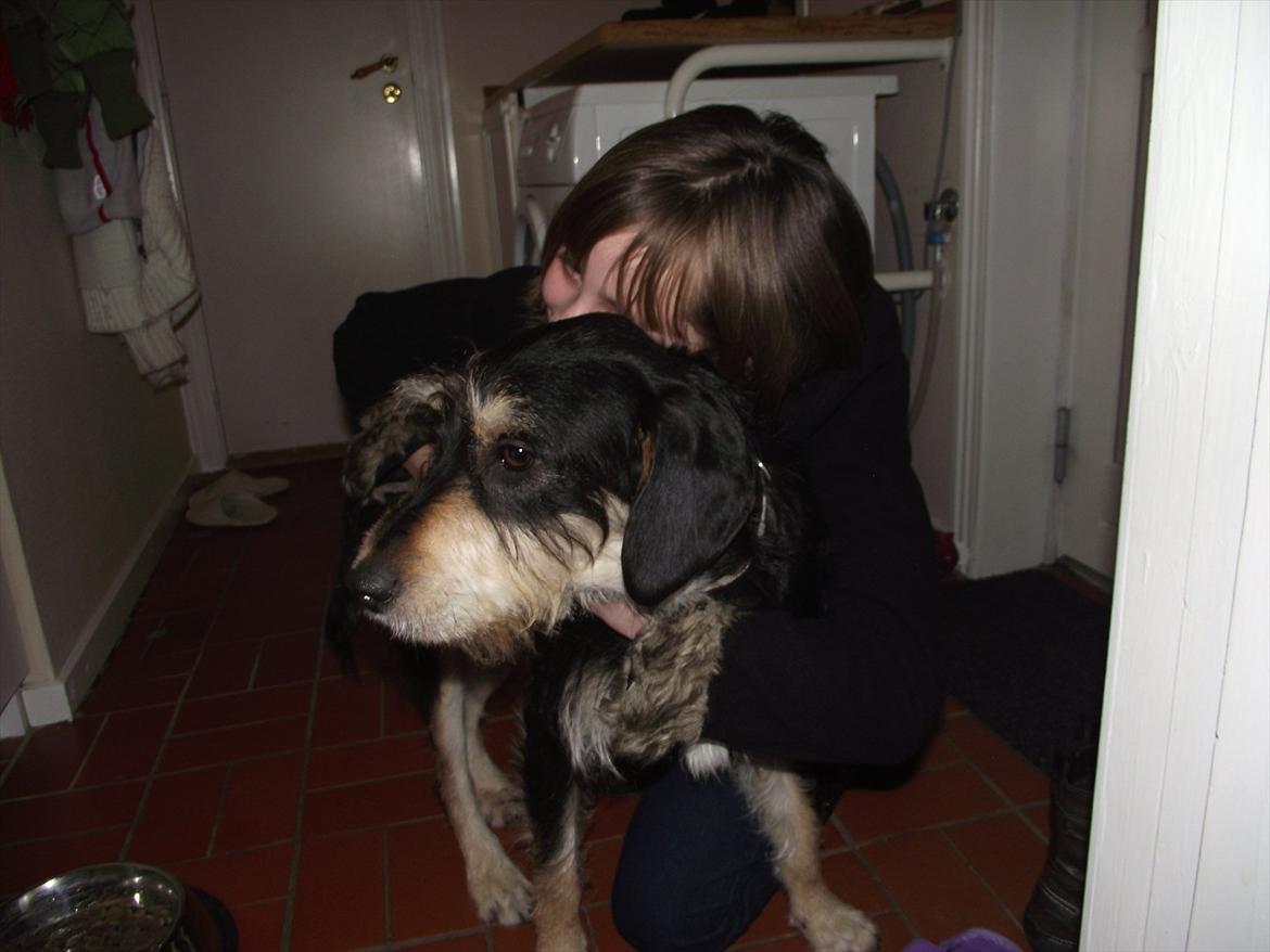 Blanding af racer Louis billede 9