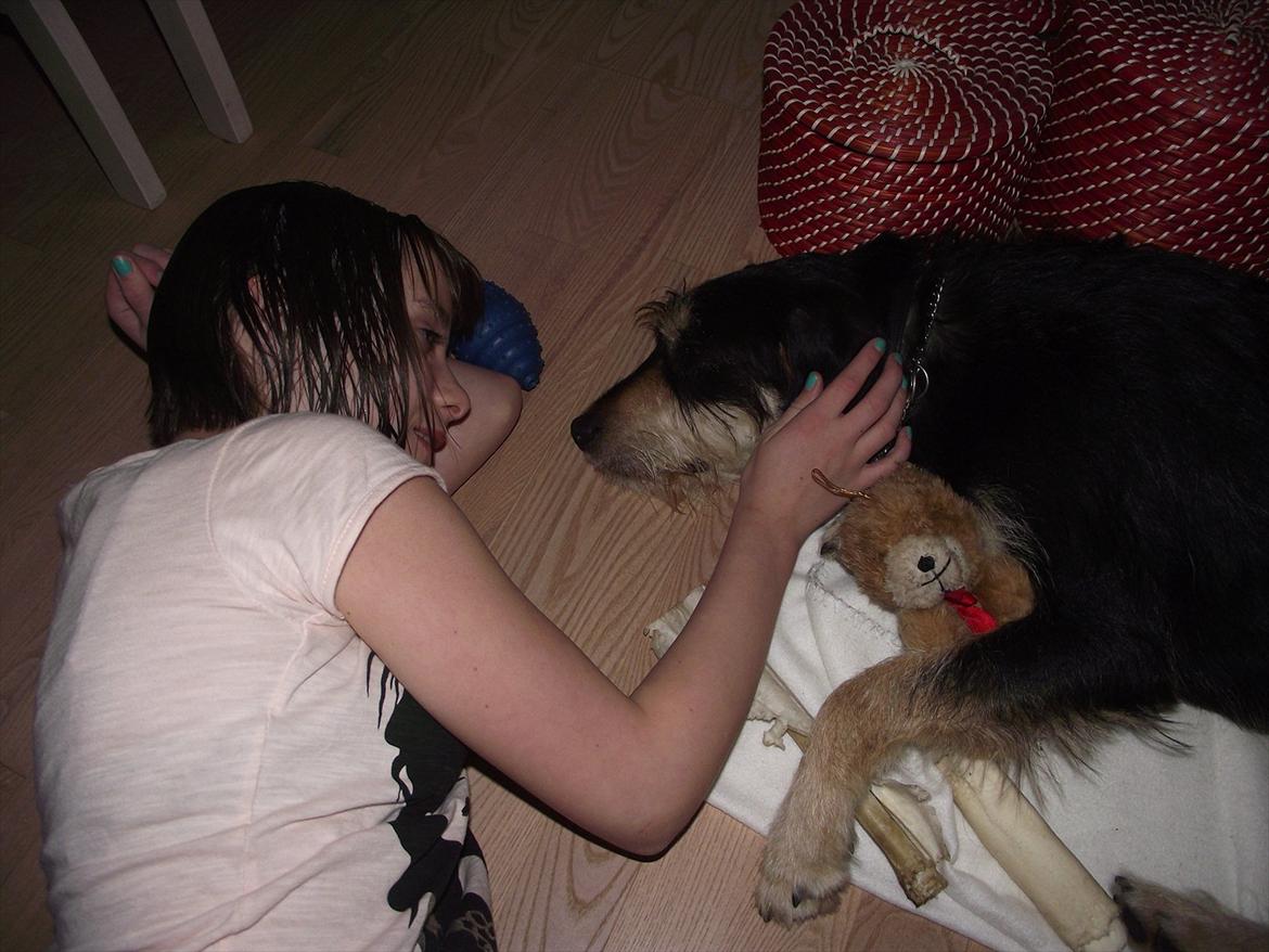 Blanding af racer Louis billede 11