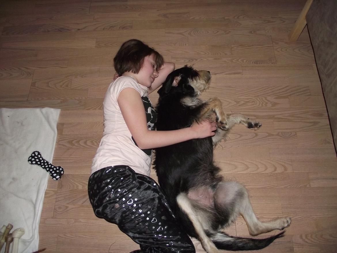 Blanding af racer Louis billede 12