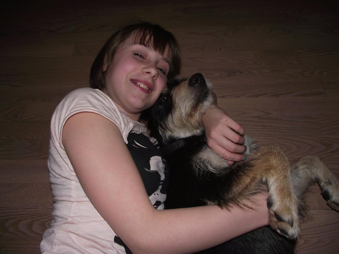 Blanding af racer Louis billede 13