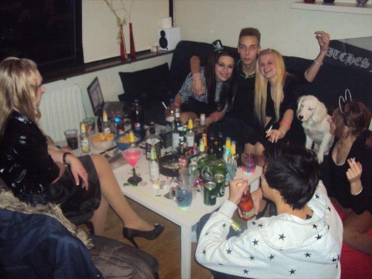 Blanding af racer Nicki *RIP* - NYT* Nytårs aften 2012- Nicki ville også være med til fest ! Dejligt alligevel, at han er døv ;) billede 20