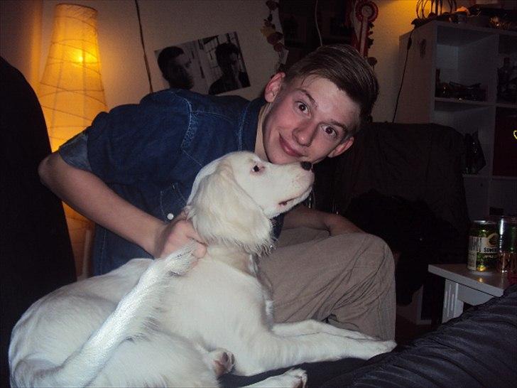 Blanding af racer Nicki *RIP* - NYT* Christian og Nicki :) billede 14