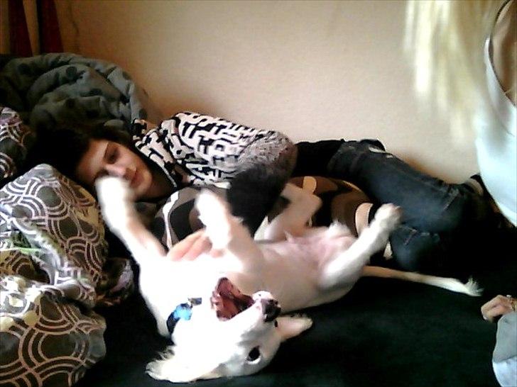 Blanding af racer Nicki *RIP* - NYT* Leger :D billede 8