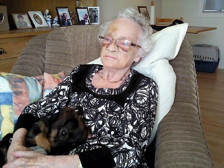 Gravhund Bertha billede 3