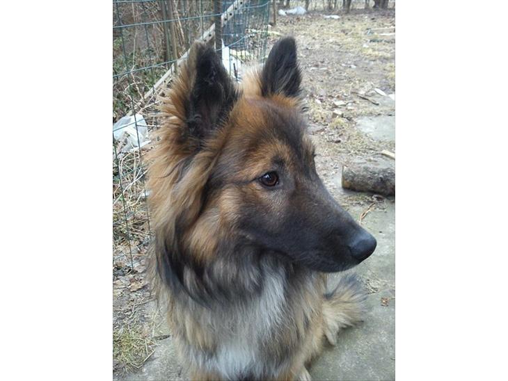 {{currentPhoto.altText}} billede {{currentPhoto.number}}