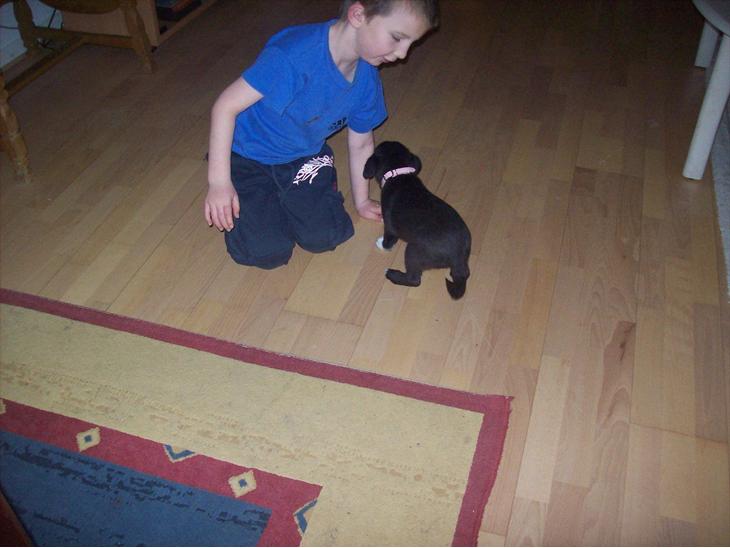 {{currentPhoto.altText}} billede {{currentPhoto.number}}