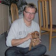 Cavalier king charles spaniel bassemand (himmelhund)