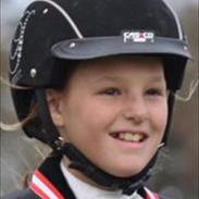 Dansk svensk gaardhund miki