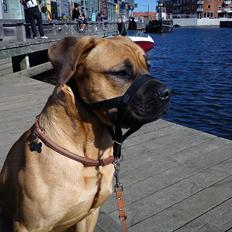 Blanding af racer Mach