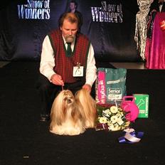 Shih tzu DKCH DCH VDHCH KLBCH INTCH Big Choice First Mei-Li