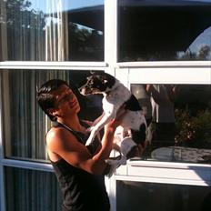 Dansk svensk gaardhund Trunte