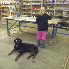 Rottweiler Zonar