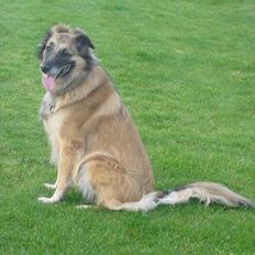 Blanding af racer Dakota