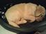 Labrador retriever Walde