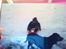 Labrador retriever Nille (Fie)