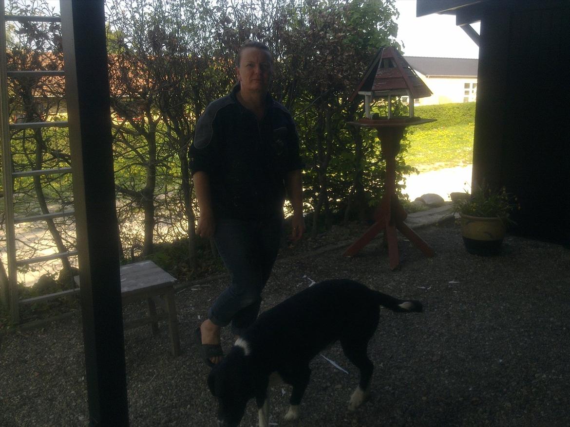 Blanding af racer Basse billede 9