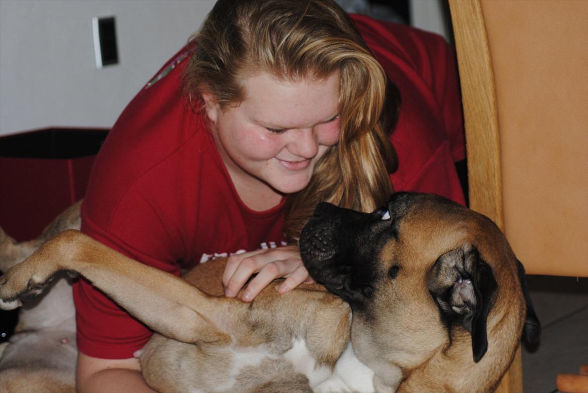 Cane corso Rimmer`s Cane Corso Silva  - Min bedste ven & jeg :)
- Jeg elsker dig Silva! billede 2