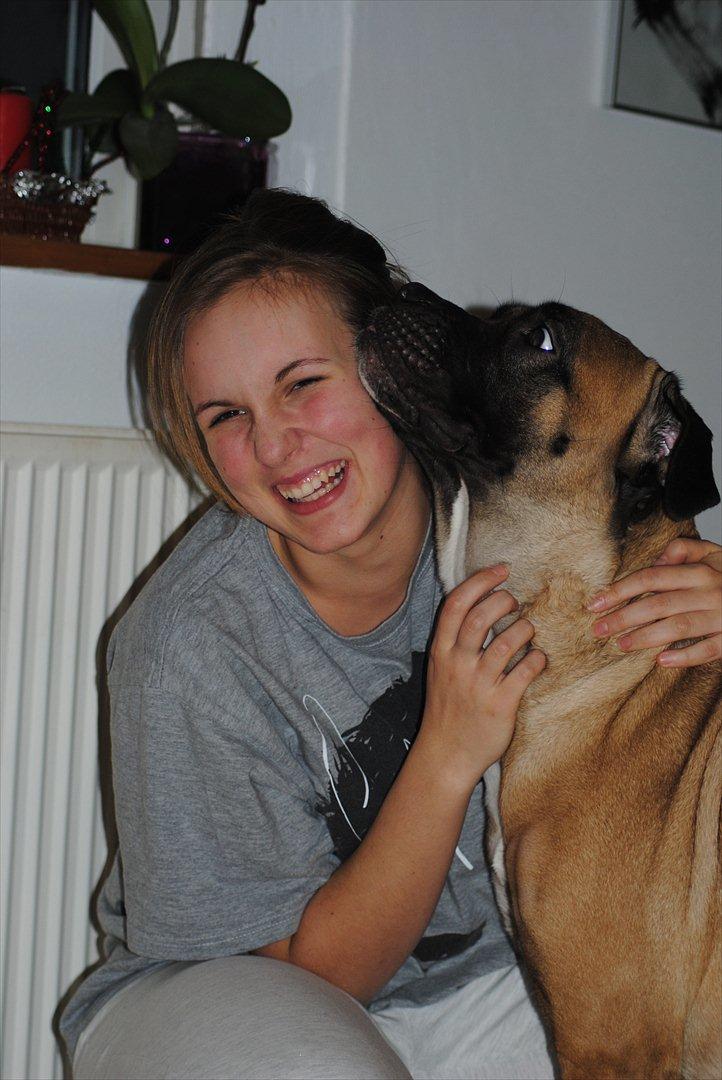 Cane corso Rimmer`s Cane Corso Silva  - Min bedste veninde Helena & Silva :0) billede 8