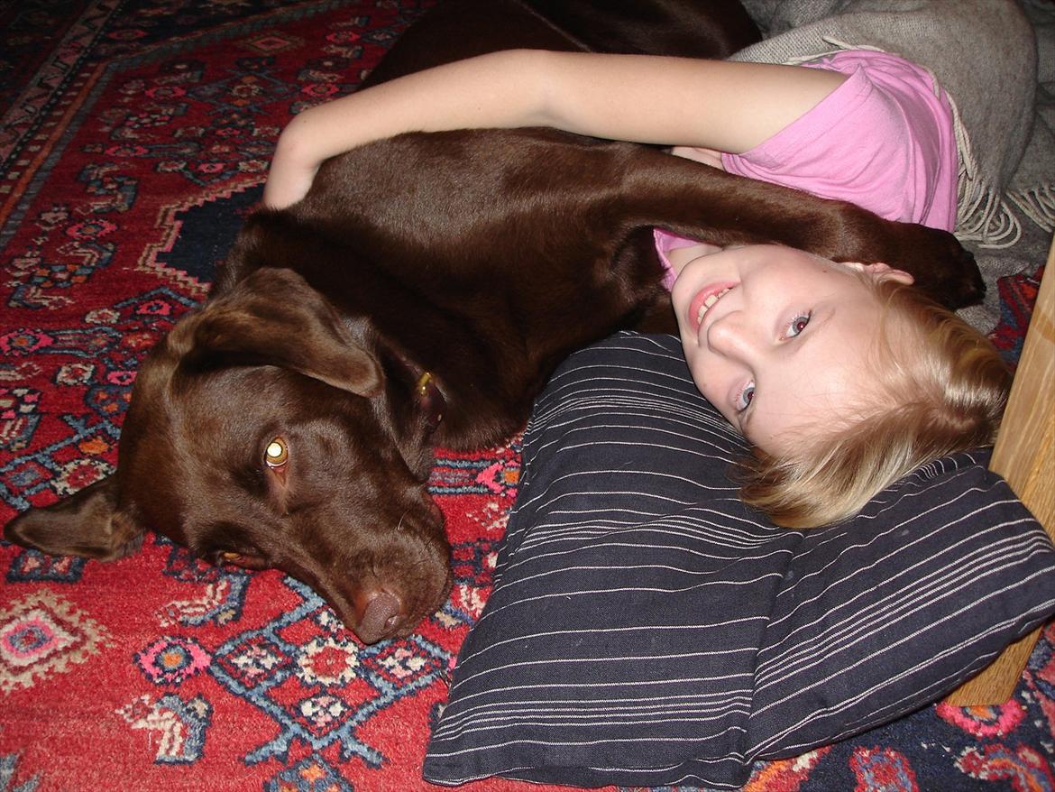 Labrador retriever Nelly - Mig som lille, der putter med Nelly ;D billede 13