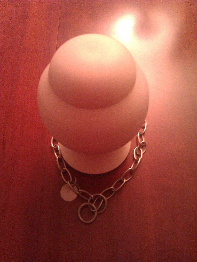 Schæferhund Hawto Fanto "Tyson" - 7- her ser i så Tyson idag:) billede 7