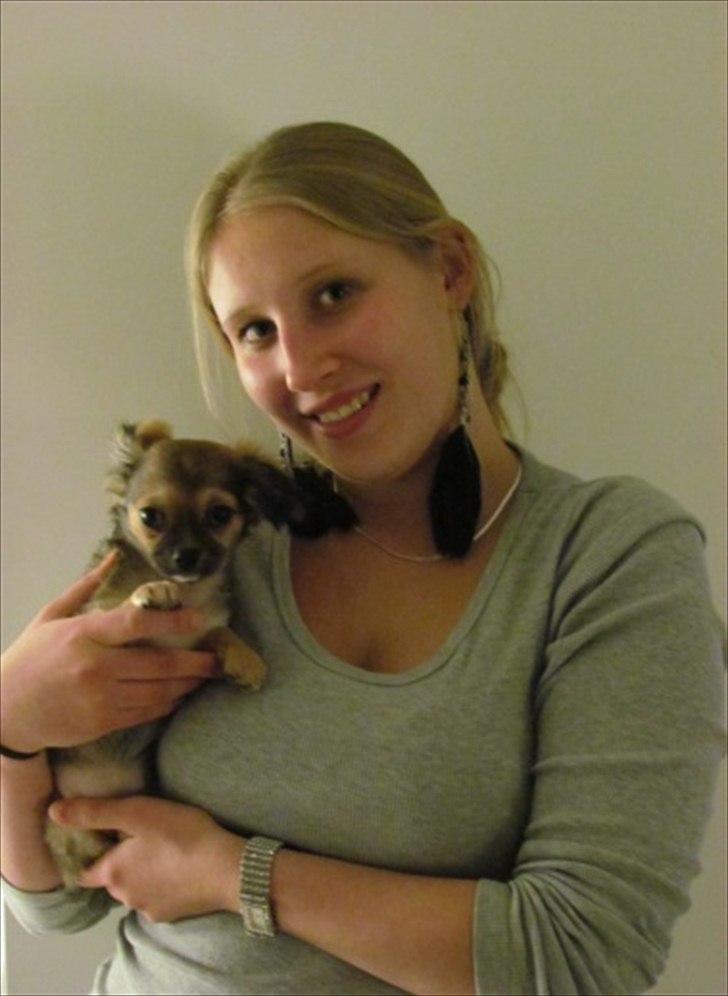 Chihuahua Søde Fie - den dag jeg fik in prinsesse <3 billede 13