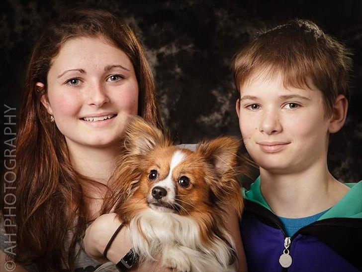 Papillon Aslan billede 15