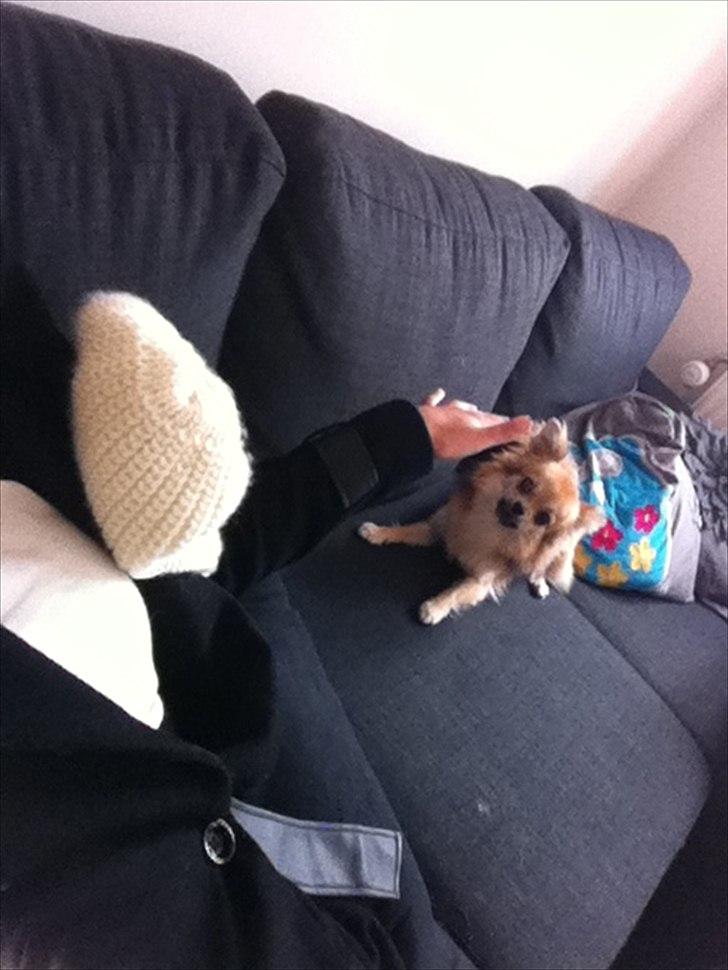 Blanding af racer Coco billede 8