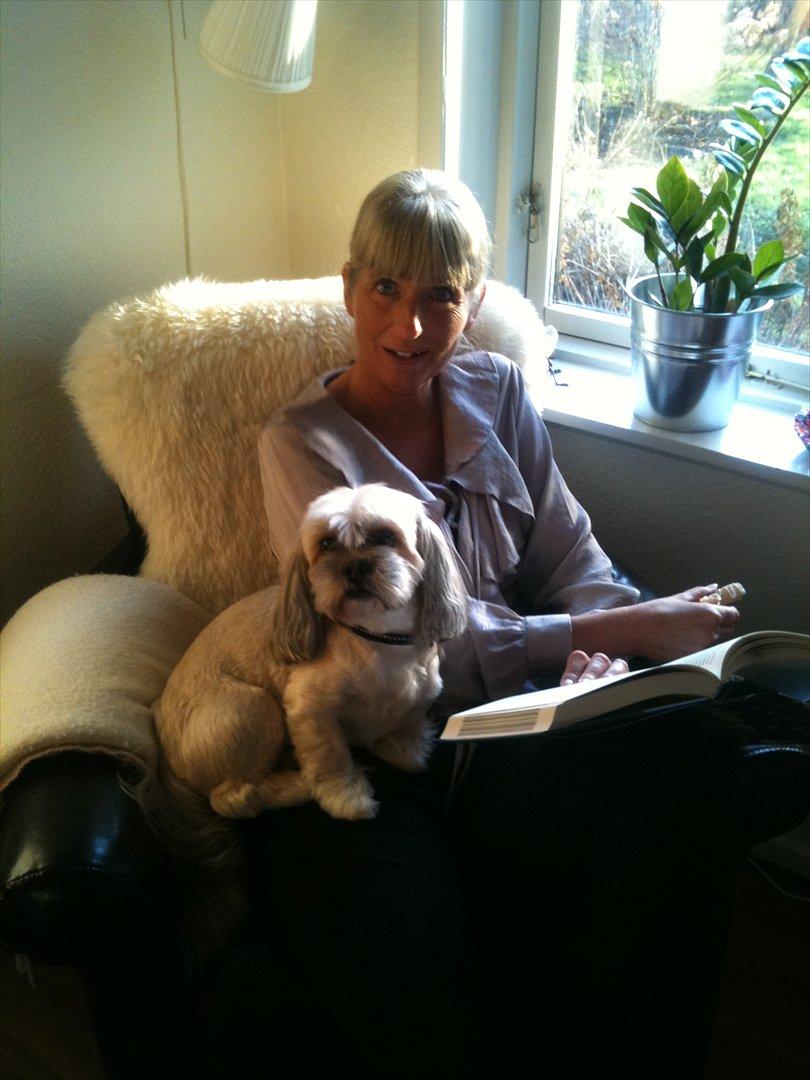 Lhasa apso '~'Emmi'~' 4 år - Emmie skal altid sidde lige der hvor mor skal side:O) Hun skulle lige til at læse her, men det syntens lille Emmie ikke hun skulle;O) billede 19