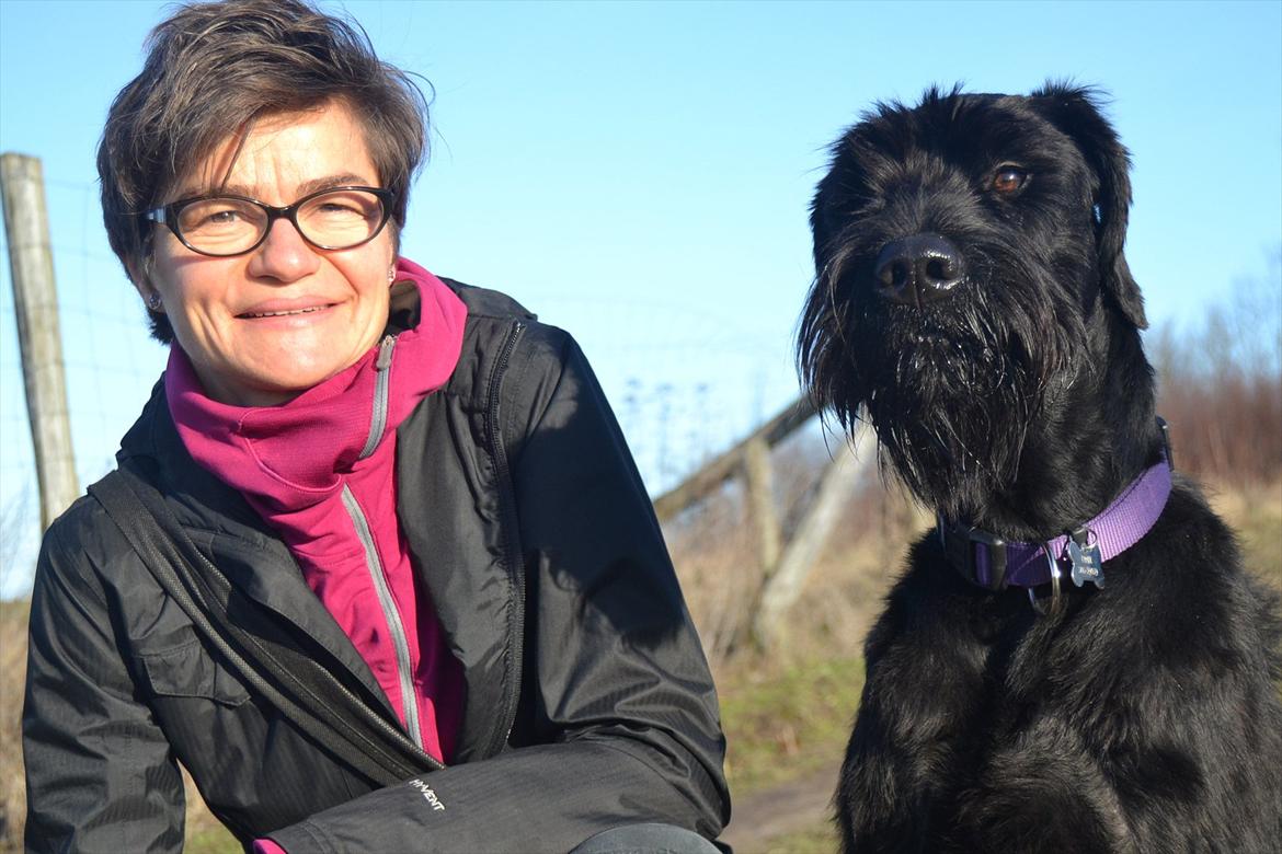 Riesenschnauzer  Doolittle's Odin - Fotografen: Ida Jensen. billede 5