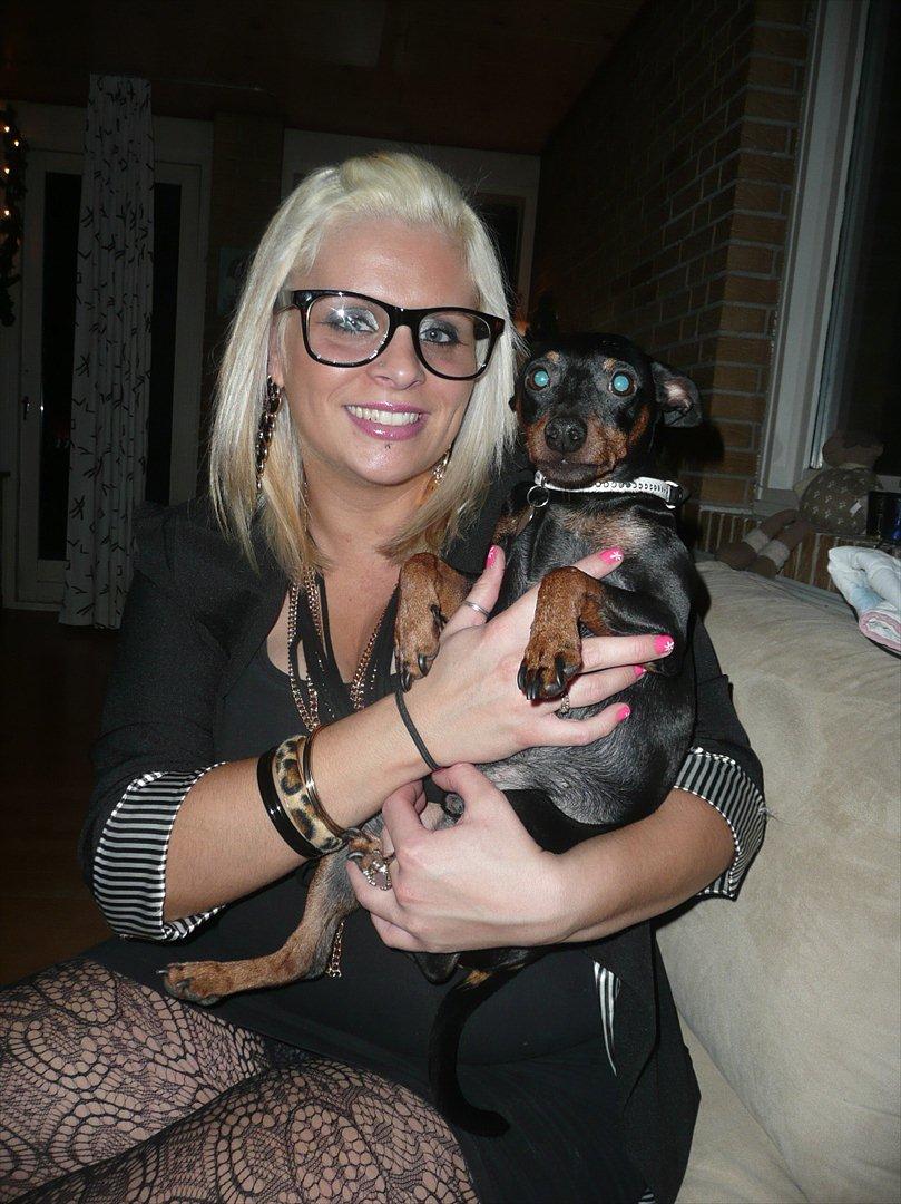 Dvaergpinscher Bevi Zakie - Zakie og jeg, julen 2011 billede 18