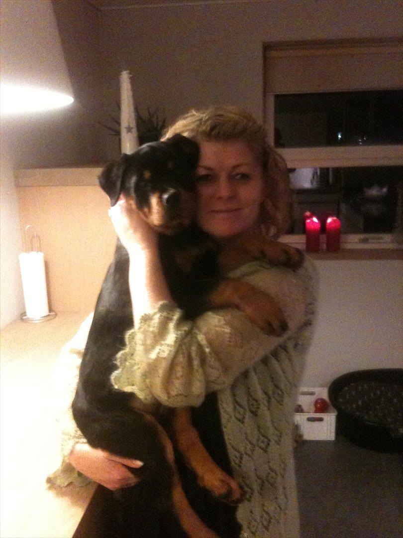 Rottweiler Soya (Amira) billede 6