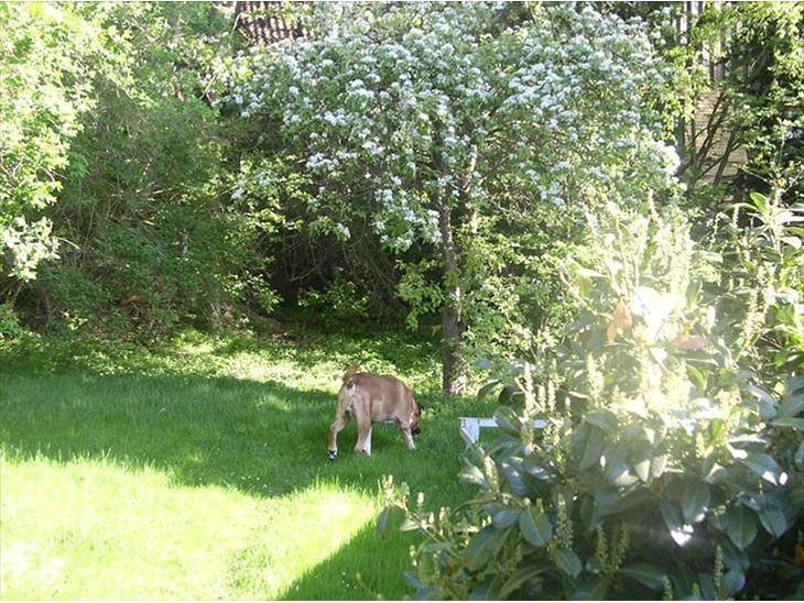 {{currentPhoto.altText}} billede {{currentPhoto.number}}