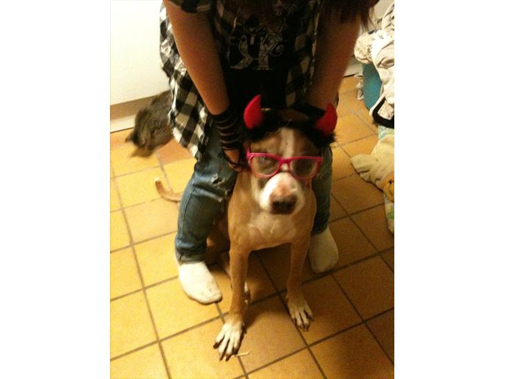 {{currentPhoto.altText}} billede {{currentPhoto.number}}