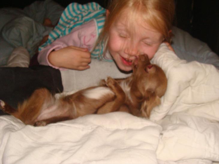 {{currentPhoto.altText}} billede {{currentPhoto.number}}