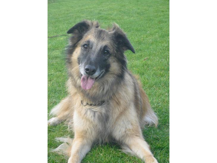 {{currentPhoto.altText}} billede {{currentPhoto.number}}