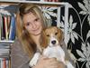 Beagle Bella <3