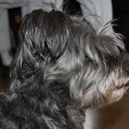 Blanding af racer Laura<3