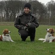 Kooikerhondje Vitovani's Camino D'Belox