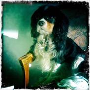 Cavalier king charles spaniel Remi (Lisbethsminde Quate)