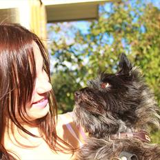 Cairn terrier Mathilde 